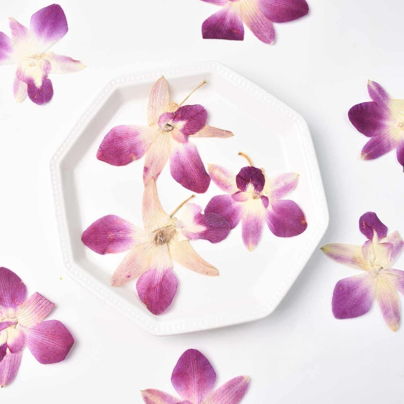 Art Craft Butterfly - 4 Stück, Echte Gepresste Schmetterlingsorchideen-Blüten für
