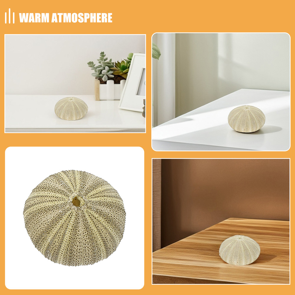 18 Stück Seeigel-Muscheln als  – Art Craft Project Bewertung und Preis