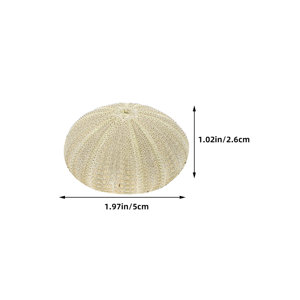 18 Stück Seeigel-Muscheln als  – Art Craft Project Bewertung und Preis