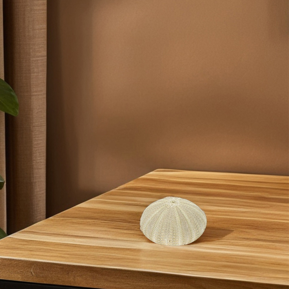 18 Stück Seeigel-Muscheln als  – Art Craft Project Bewertung und Preis