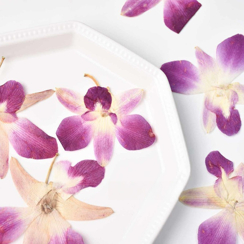 4 Stück, Echte Gepresste Schme – Art Craft Butterfly Bewertung und Preis