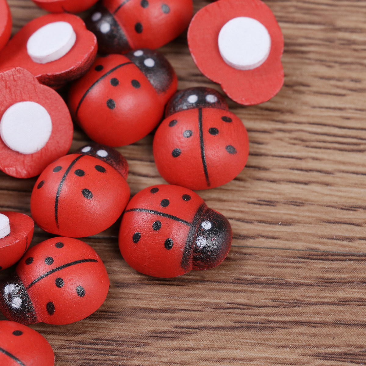 100 Stück Marienkäfer-Schwamma – Art Craft Ladybug Bewertung und Preis